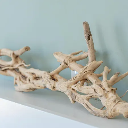 Daire The Square 2nd Floor *